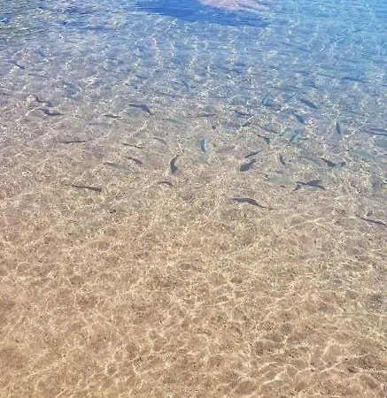 Bluewater アパート *