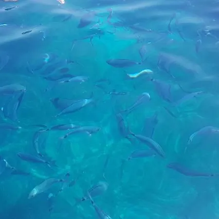 Bluewater Lägenhet *